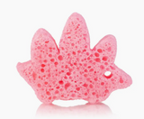 Spongify-Sponge