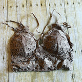 Scalloped Lace Bralette