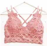 Scalloped Lace Bralette