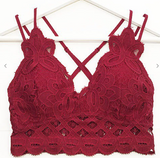 Scalloped Lace Bralette