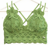 Scalloped Lace Bralette