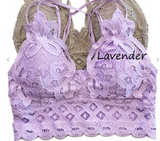 Scalloped Lace Bralette