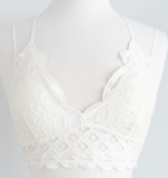 Scalloped Lace Bralette